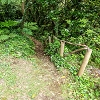 Plants: image 83 Of 208 Thumb